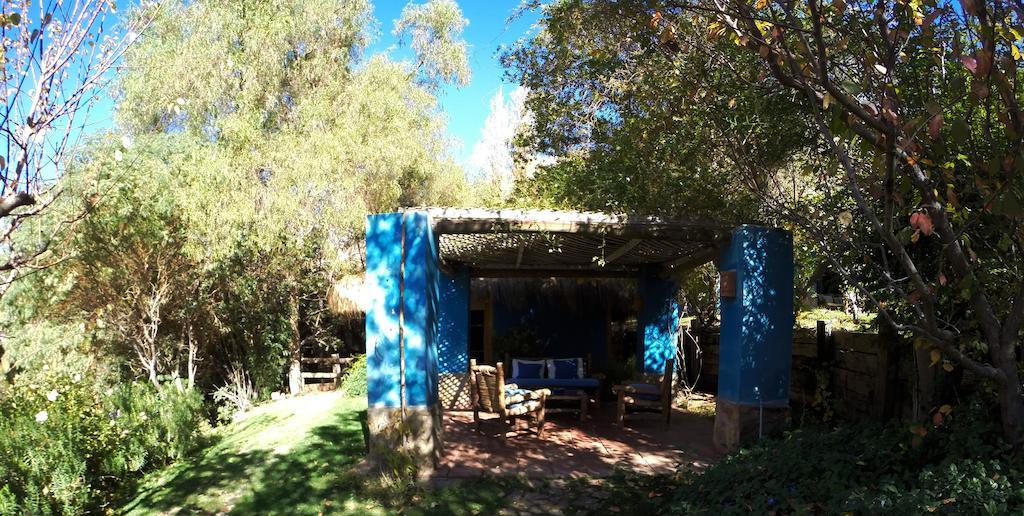Refugio Misterios Del Elqui Bed & Breakfast Pisco Elqui Exterior foto